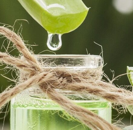 Les bienfaits de l'aloe vera