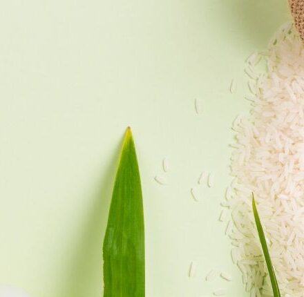 L'avis d'Émilie HEBERT sur la protéine de riz