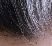 Dix idées reçues sur les cheveux blancs