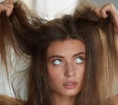 Dix idées reçues sur les cheveux secs